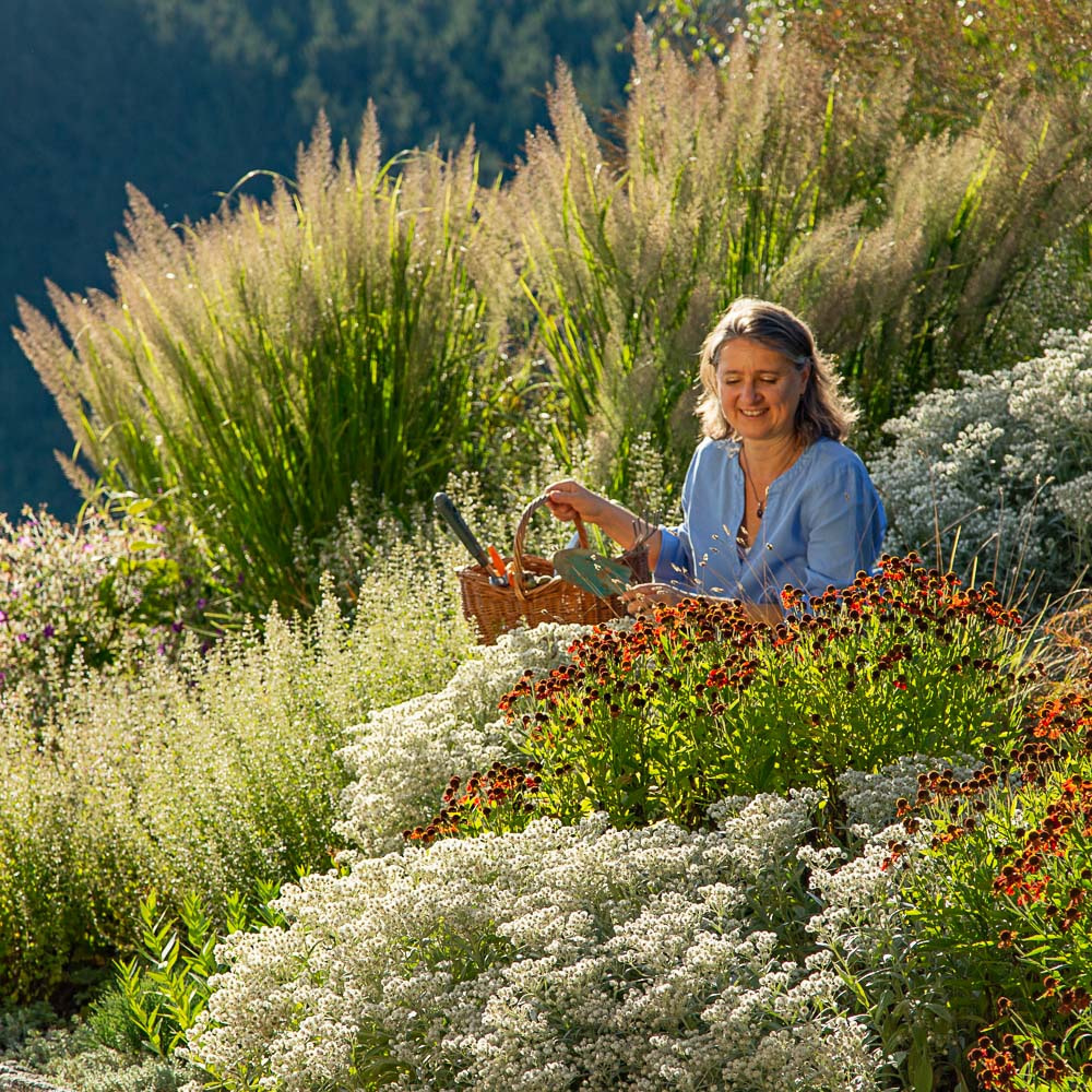 Barbara mit Gartenwerkzeug inmitten einer großen Staudenpflanzung. So geht Leben offline!