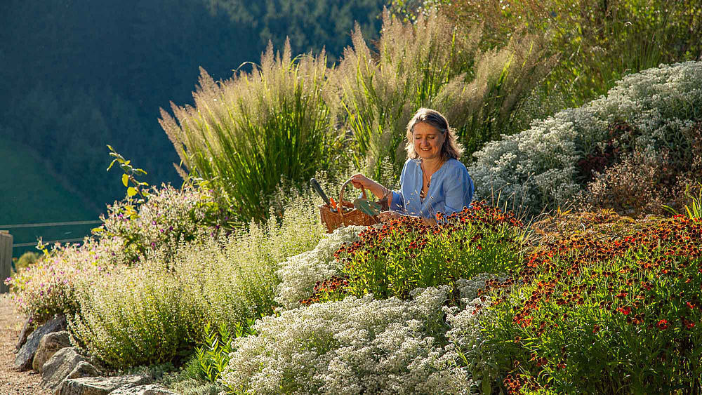 Barbara Rainer inmitten einer großen Stauden- und Gräserpflanzung